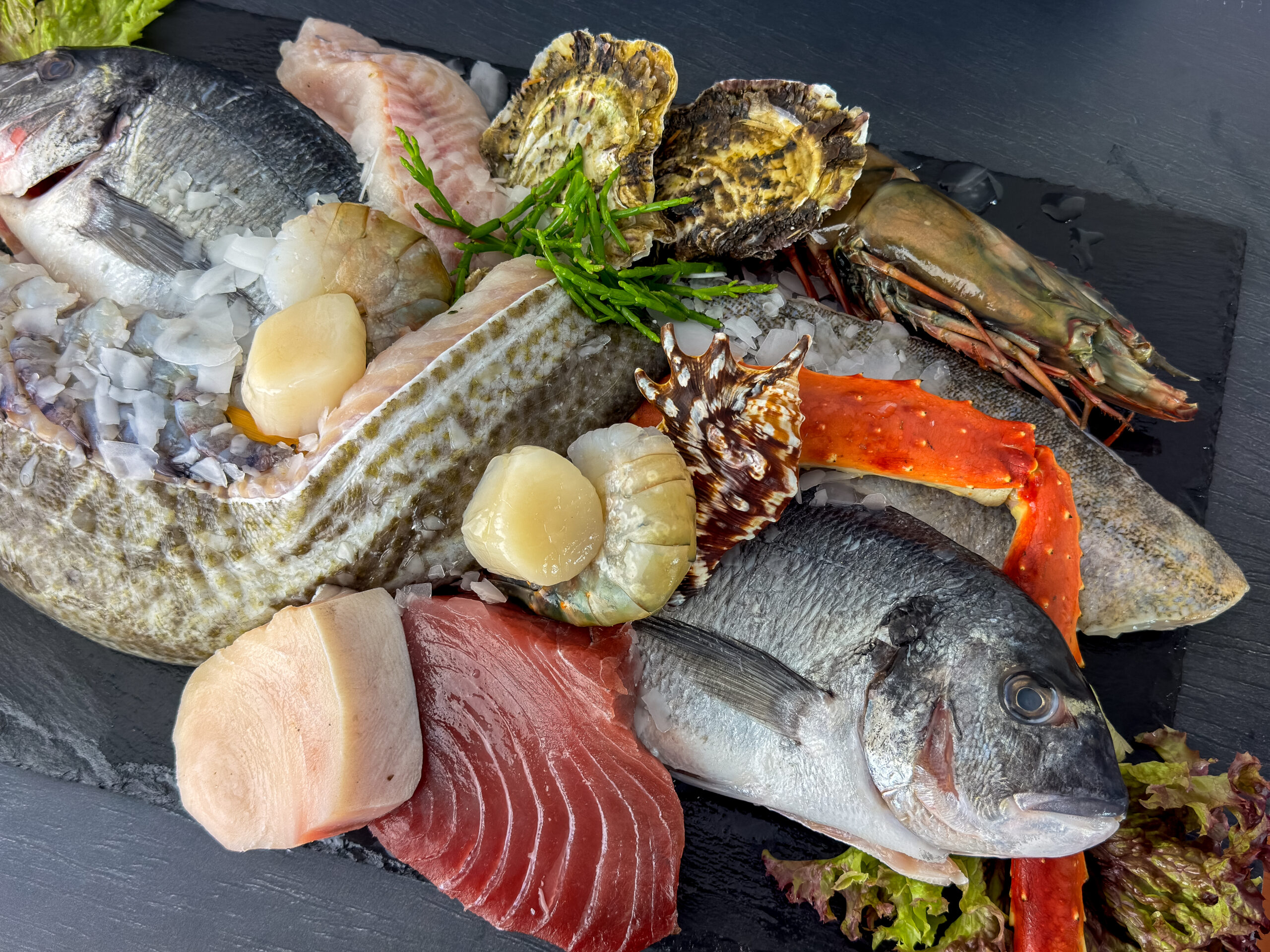 Frische Meeresspezialitäten der Wuppertaler Fischkultur auf Eis: ganze Dorade, roter Thunfisch, Jakobsmuscheln, Austern, Garnelen, Kingcrab-Beine und Meeresschnecke auf schwarzem Schieferbrett